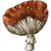 🍄