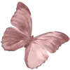 🦋