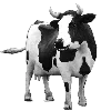 🐄