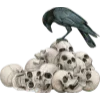 🐦‍⬛