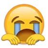 😿