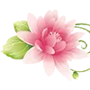 🌸