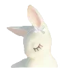 🐇