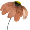 🥀