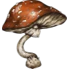 🍄