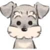 🐶