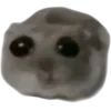 🥺