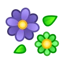 🌺
