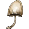 🍄