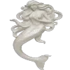 🐚