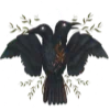 🐦‍⬛