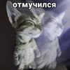 🌟