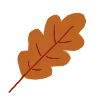 🍂