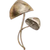 🍄