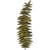 🌱