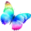 🦋