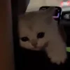 🫠