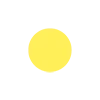 🟡