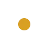 🟡