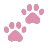 🐾