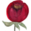 🌹