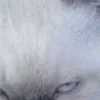 💀