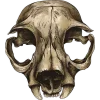 💀