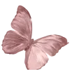 🦋