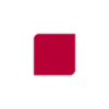 🟨