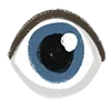 👁