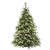 🎄