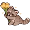🦝