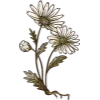 🌼