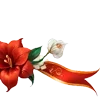 🌺