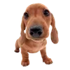 🫛