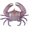 🦞