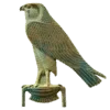 🦅