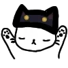 🐈