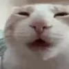 😴