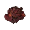🌹