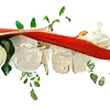 🌺