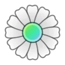🌼