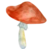 🍄
