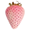 🍓