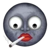 🌚