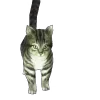 😼