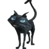 🐈‍⬛