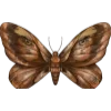 🦋