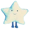🌟