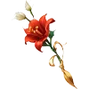 🌺